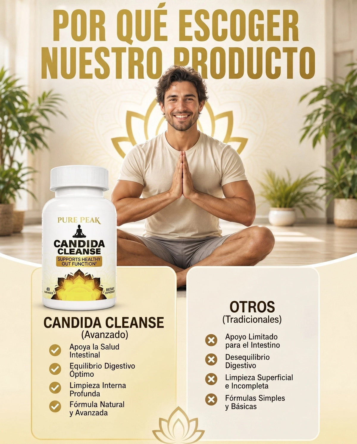Comparativa de Candida Cleanse frente a fórmulas digestivas tradicionales