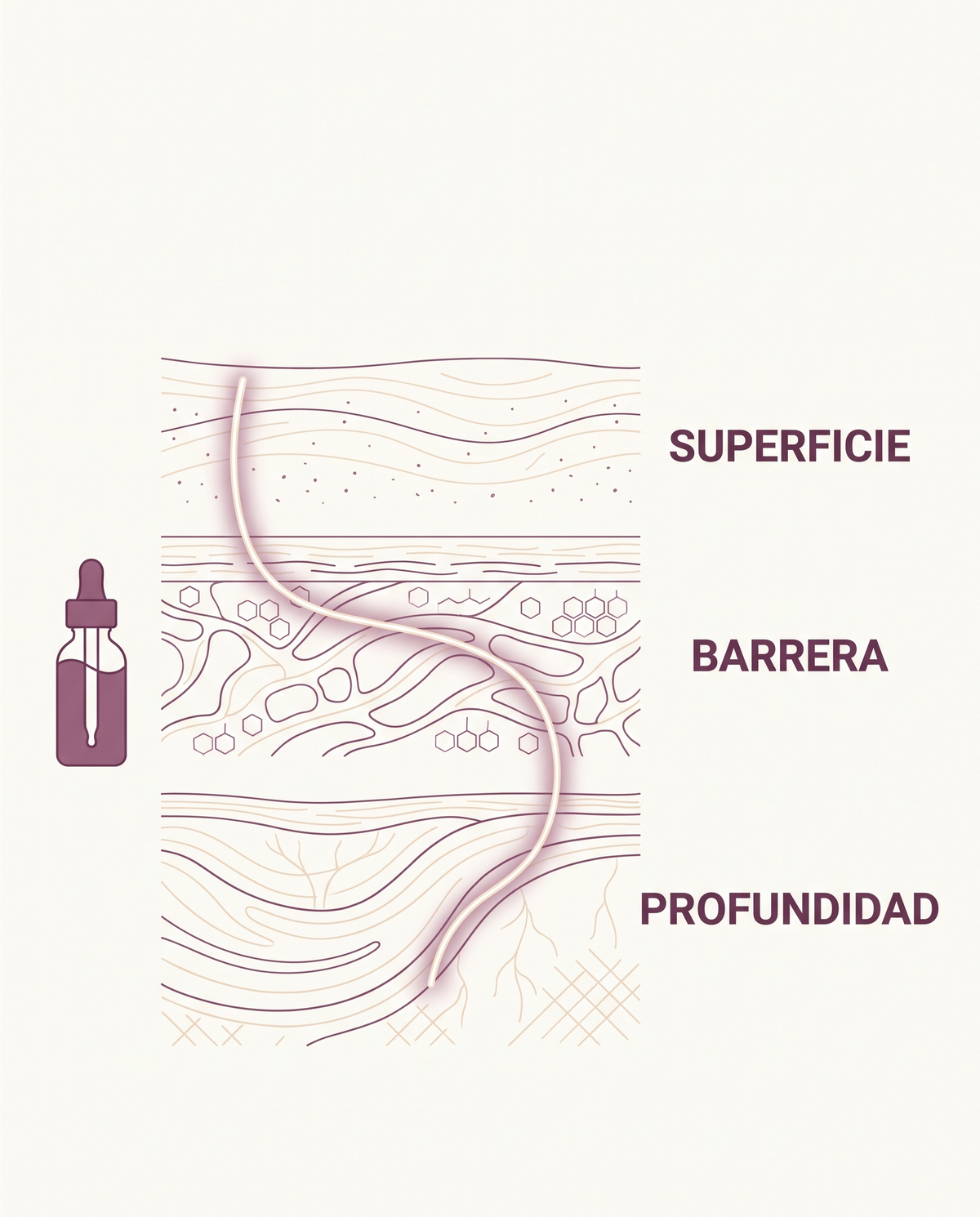 Infografia de las capas de la piel: superficie, barrera y profundidad